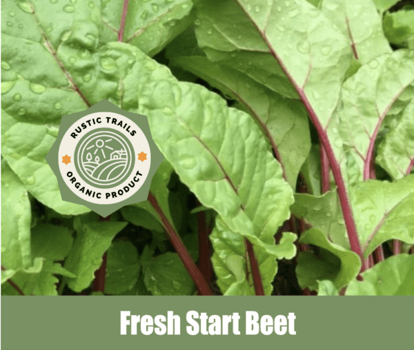 Fresh Start Beets, Beta vulgaris